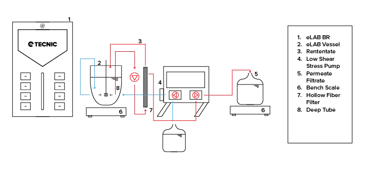 Infographic explaining how the perfusion system of the eLAB TFF system works.