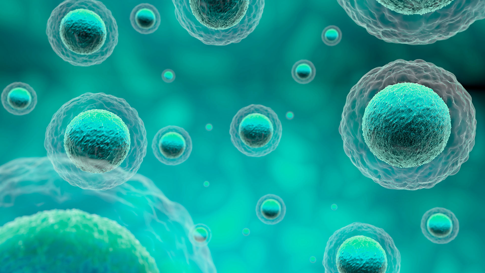 graphic representation of a stem cell (biopharmaceutical), it is made in tecnic's corporate color (teal).