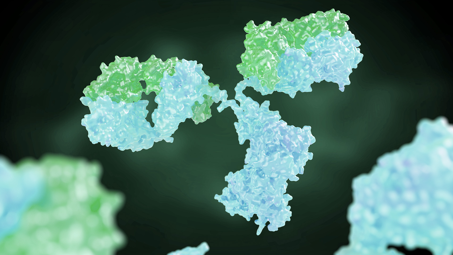 A 3D render of a monoclonal antibodies (biopharmaceutical), the color green predominates in the image