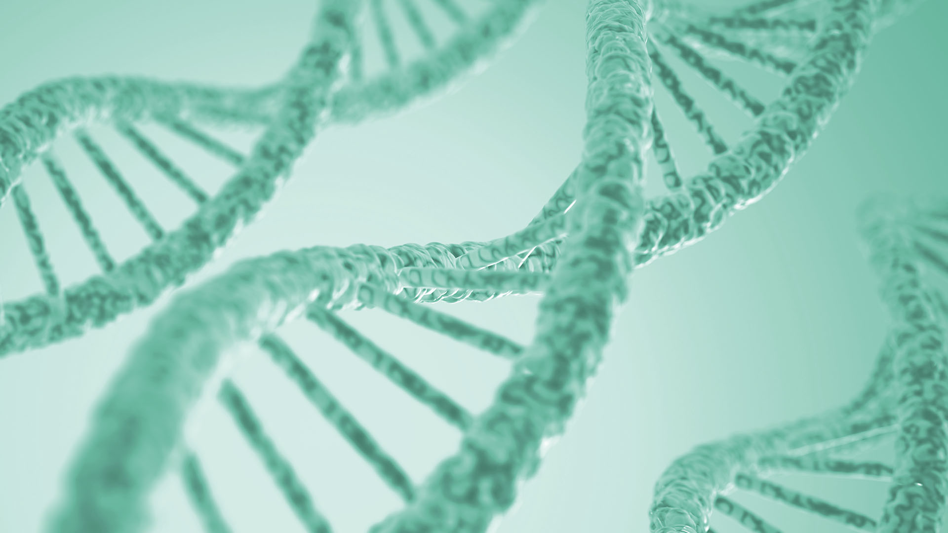 Illustration of intertwined DNA double helix chains, representing the fundamental structure of genetic materia