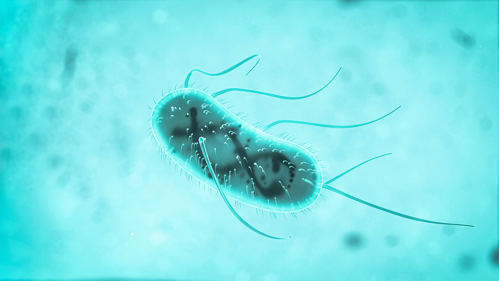 graphical representation of the probiotics (microbial fermentation), made in tecnic's corporate color.