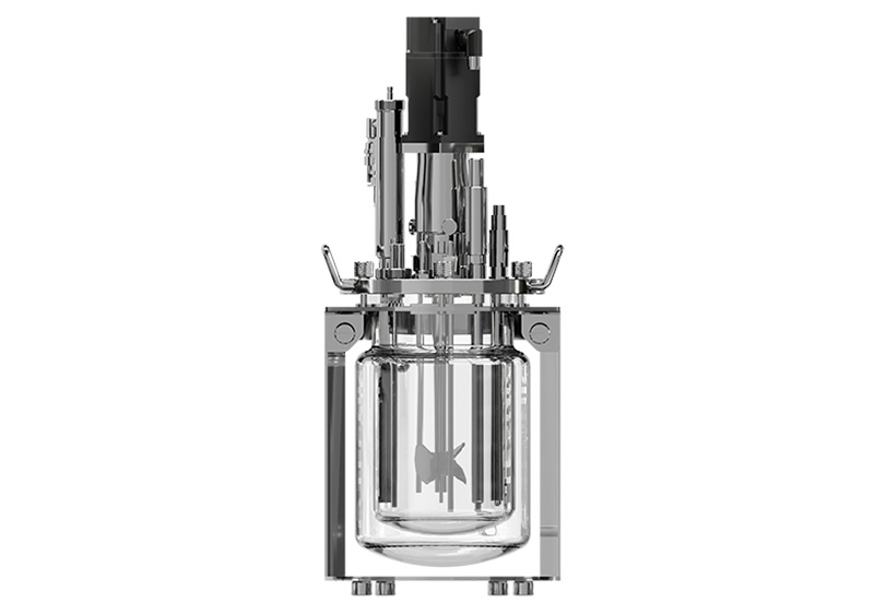 Transparent and stainless steel bioreactor vessel