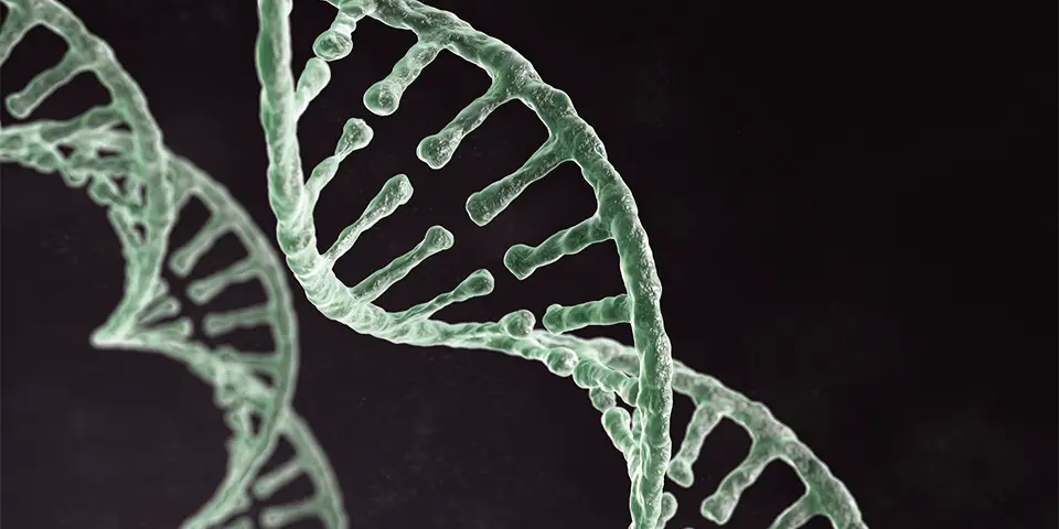 Green DNA structure used for the cover page on CASGEVY