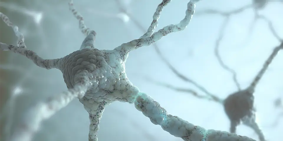 Image of a neuron that is used as the cover for the news item on Alzheimer's treatment.