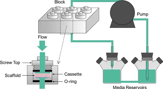 The image shown schematically depicts a cell perfusion system.