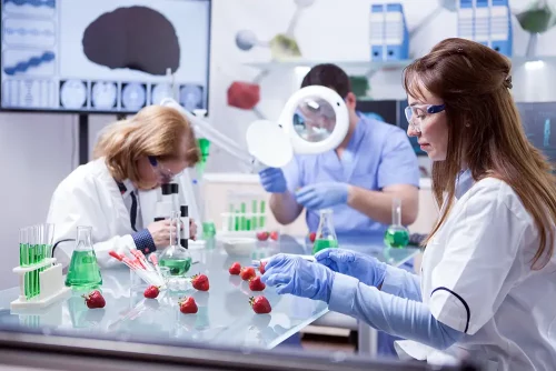 food scientist working a research laboratory