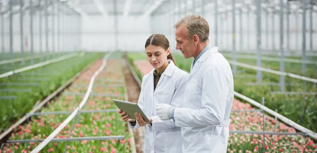 two scientists at flower plantation