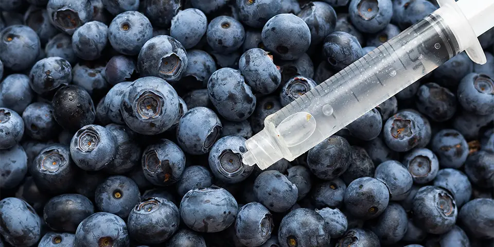 Genetically modified food, blueberry, fruit, modification, gene, syringe, syringe